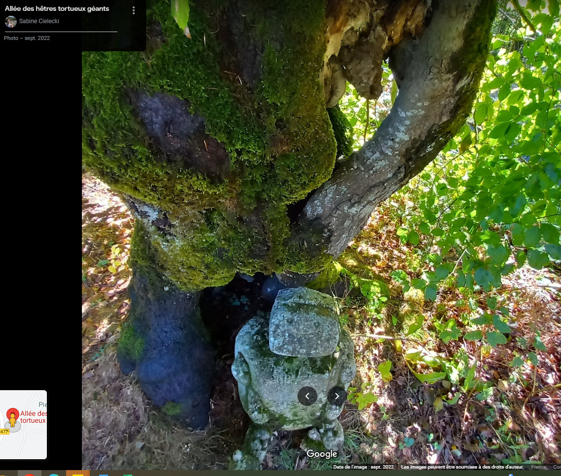 Golem de pierre n°8 dans les Monts de la Madeleine